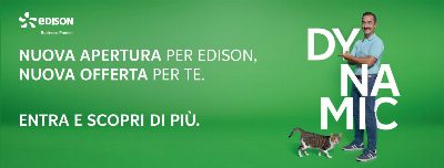 Punto Edison