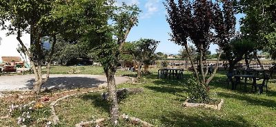 La Vecchia Quercia