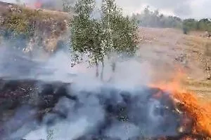 Incendio nei pressi dell'abbazia di Casamari