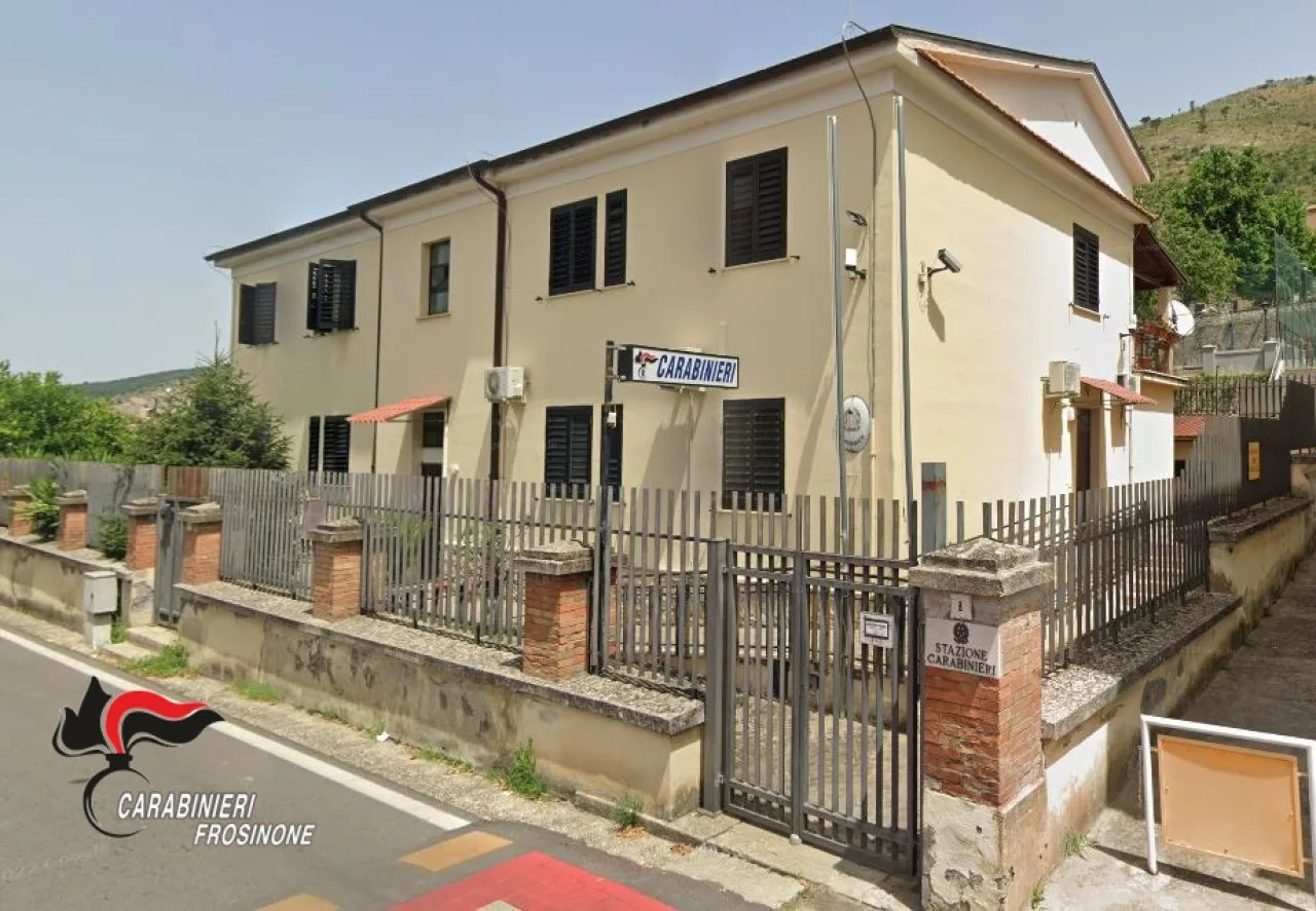 Roccasecca, animali malnutriti in un'azienda agricola: sequestrati oltre 60 capi