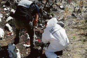 Crescono i reati ambientali