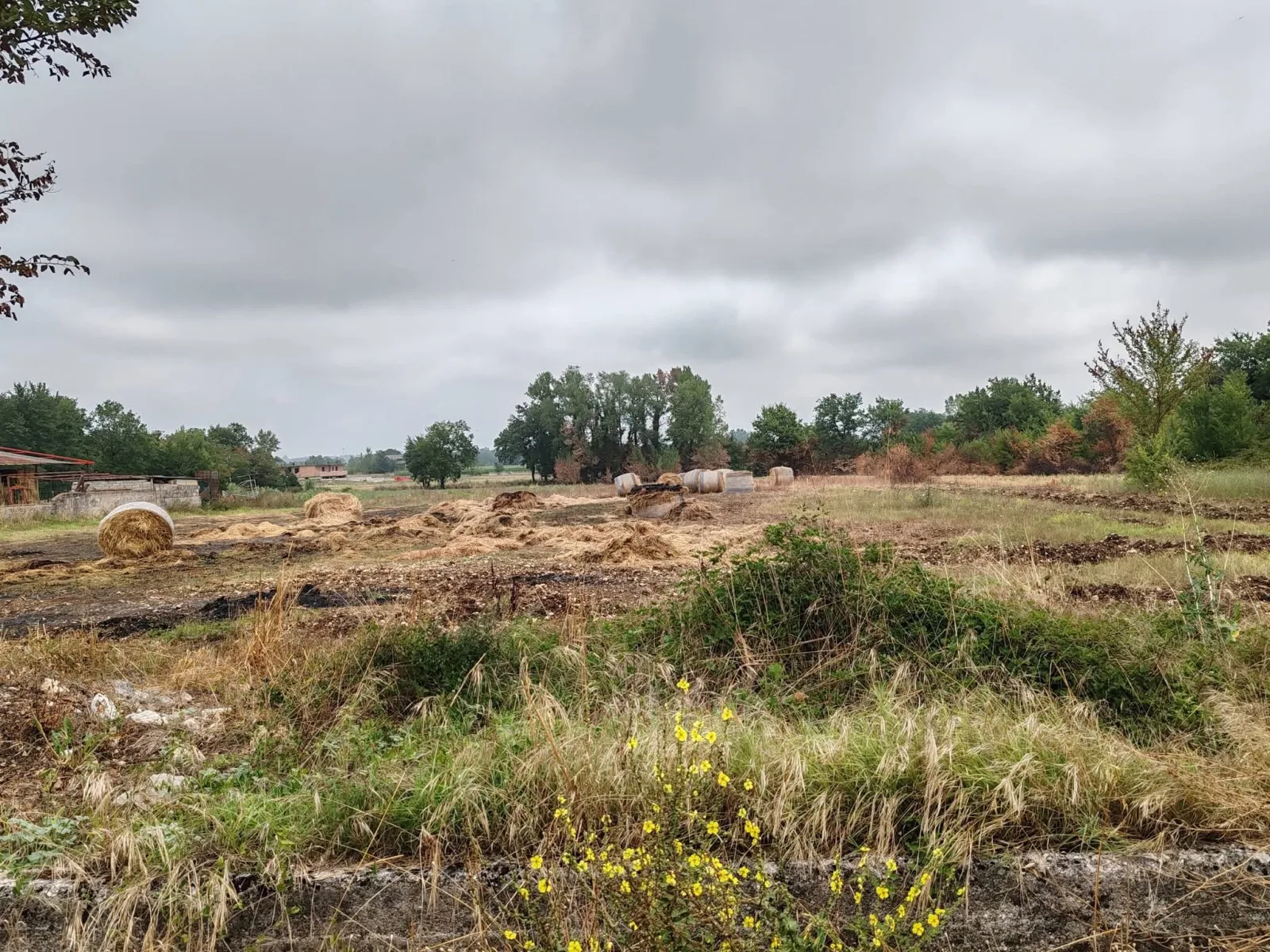 San Giorgio a Liri (FR) – Incendio Remat, protocollo Asl e Acea per analisi sui pozzi