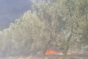 Incendio in via San Francesco, paura a Ceccano