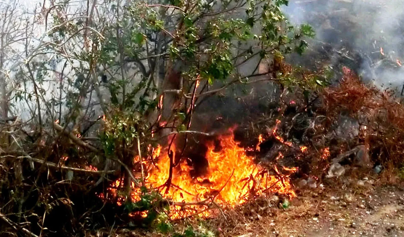 Fa divampare un incendio e fugge: rintracciata donna dalla Polizia di Stato che la denuncia