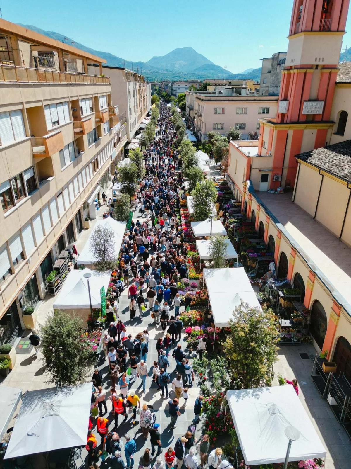 Cassino si prepara alla “Notte Bianca del Commercio”: l’8 agosto debutta il primo Buskers Festival